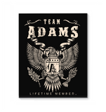 ADAMS Canvas 03